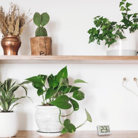 Termometru digital de camera, cu suport magnetic, alb, TFA 30.1065.02