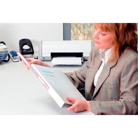 Caiet mecanic a4 4 inele 20mm/38mm alb panorama esselte