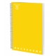 Caiet spira a4 100f dr monocromo pigna