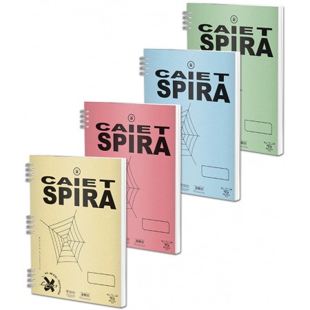 Caiet spira a5 50 file aritmetica basic pigna