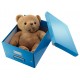 Cutie depozitare medie albastra click&store leitz Cutie depozitare medie albastra click&store leitz