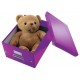 Cutie depozitare medie mov click&store leitz