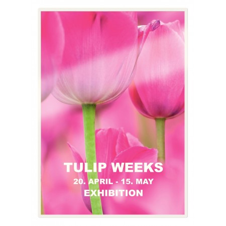 Folie a3 125 microni 100/top udt leitz
