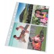 Folie protectie a4 pentru fotografii 10/set esselte Folie protectie a4 pentru fotografii 10/set esselte