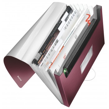 Mapa plastic 6 compartimente grena tip proiect style leitz