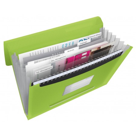 Mapa plastic 6 compartimente verde vivida esselte