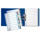 Separatoare index carton 1-12 mylar esselte
