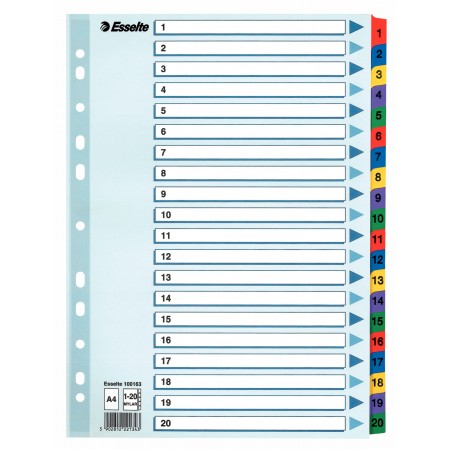 Separatoare index carton 1-20 mylar esselte