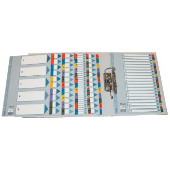 Separatoare index carton ian-dec mylar esselte