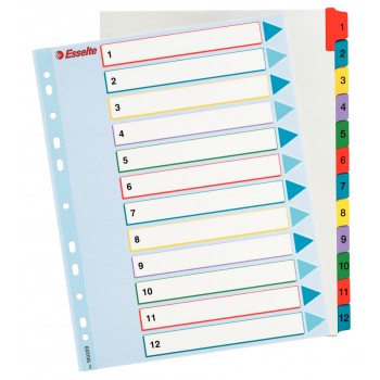 Separatoare index plastic 1-12 reinscriptibil esselte