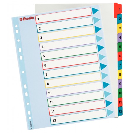 Separatoare index plastic 1-12 reinscriptibil esselte