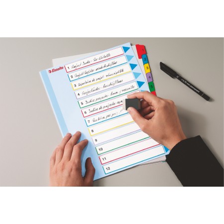 Separatoare index plastic 1-12 reinscriptibil esselte