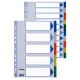Separatoare index plastic 5 culori esselte