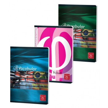 Vocabular 24 file color pigna