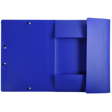 Mapa plastic cu elastic si etich cotor a4 albastra exacompta Mapa plastic cu elastic si etich cotor a4 albastra exacompta