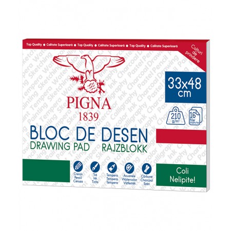 Bloc desen 33*48cm 210g 16f pigna