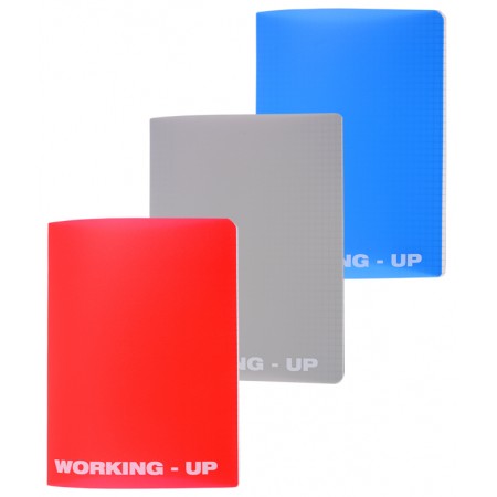 Caiet a5 48 file aritmetica coperta pp working up pigna