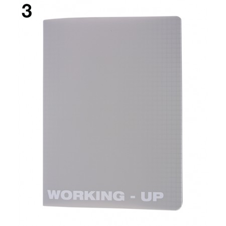 Caiet a5 48 file aritmetica coperta pp working up pigna