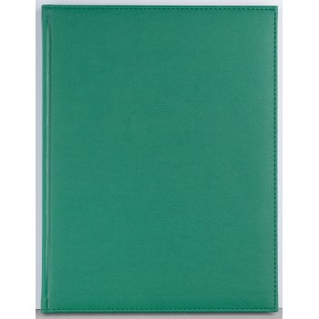 Agenda a4 saptamanala verde 2024 lux  ego