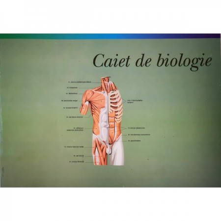 Caiet biologie mare gold