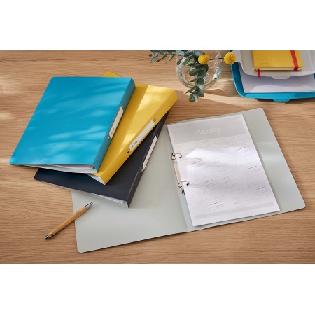 Caiet mecanic a4 2 inele 25mm/32mm cop flex albastru celest cosy leitz