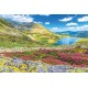 Calendar birou romania 13 file 213 x 110 mm ego