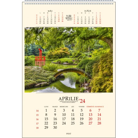 Calendar perete gradini 13 file 330 x 480 mm ego Calendar perete gradini 13 file 330 x 480 mm ego