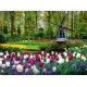 Calendar perete gradini 13 file 330 x 480 mm ego Calendar perete gradini 13 file 330 x 480 mm ego
