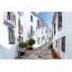 Calendar perete strazi 13 file 330 x 480 mm ego