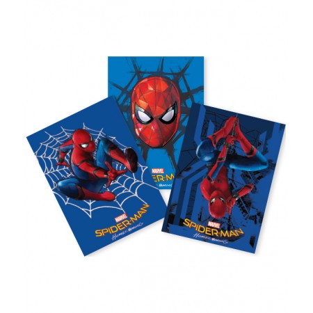 Coperti caiet a5 spiderman hc pigna