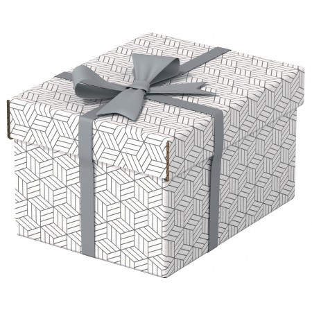 Cutie depozitare cu capac 25 x 20 x 15 cm alba recycled esselte