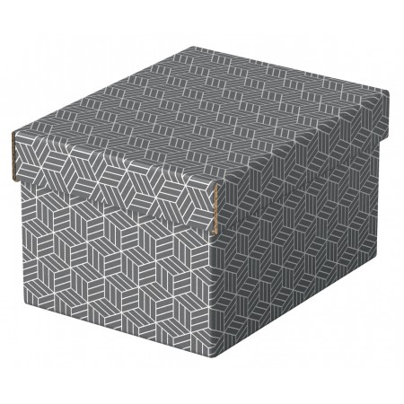 Cutie depozitare cu capac 25 x 20 x 15 cm gri recycled esselte