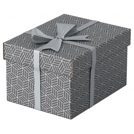 Cutie depozitare cu capac 25 x 20 x 15 cm gri recycled esselte