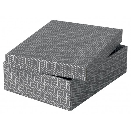 Cutie depozitare cu capac 36 x 26 x 10 cm gri recycled esselte