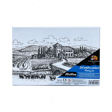 Panza predesenata pe sasiu 20*30cm peisaj sf art pigna