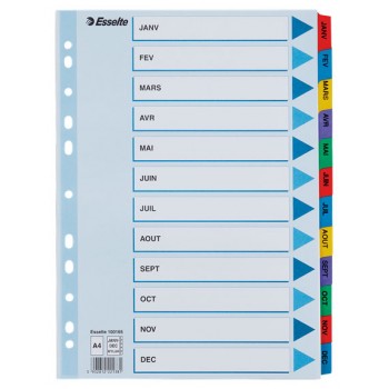 Separatoare index carton ian-dec mylar esselte
