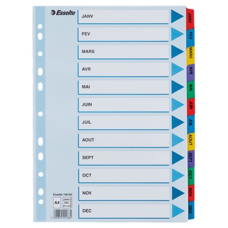 Separatoare index carton ian-dec mylar esselte