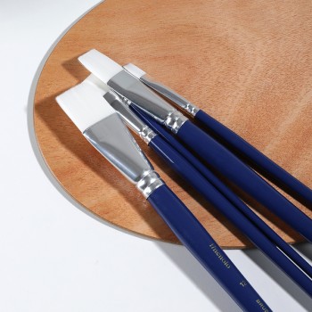 Set 6 pensule profesionale hard varf tesit nr.10 deli