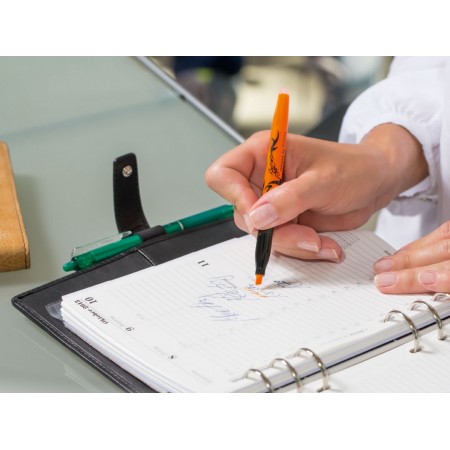 Textmarker roz light frixion pilot